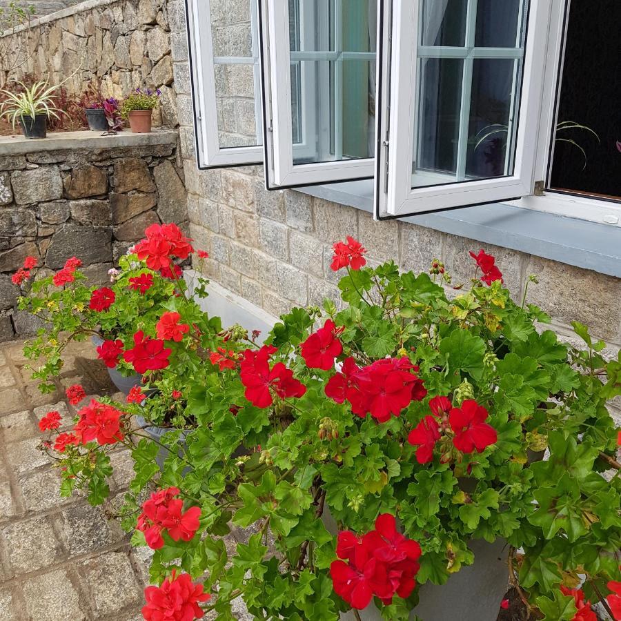 נוארה אליה Lakeside Cottages מראה חיצוני תמונה